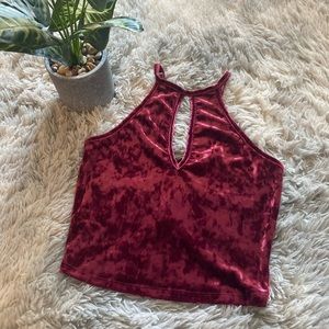 Velvet Crop Top
